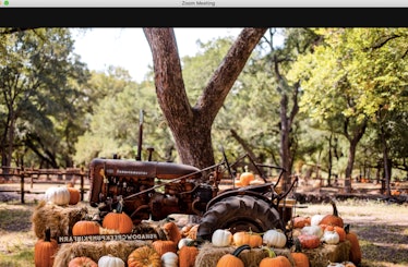These pumpkin Zoom backgrounds will make your calls fall AF.