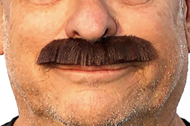 Freddie Fake Mustache
