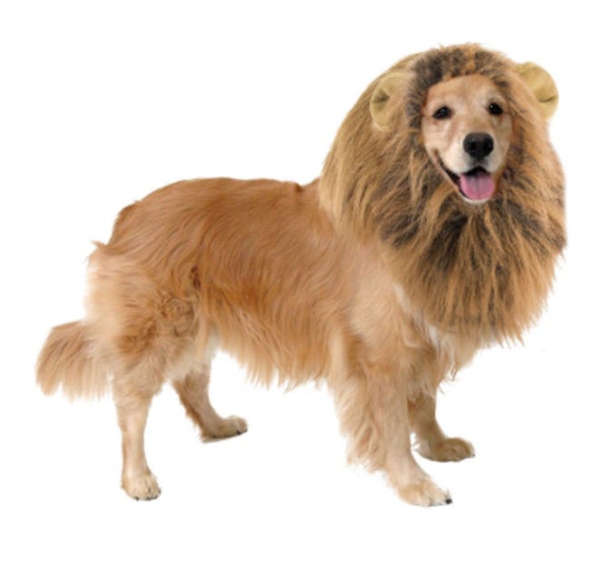 Lions Mane Dog Costume