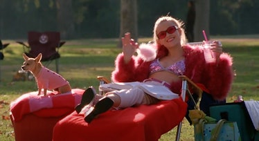 Elle Woods (Reese Witherspoon) dressed in pink, sits on a lawn chair with her dog at Harvard in 'Leg...
