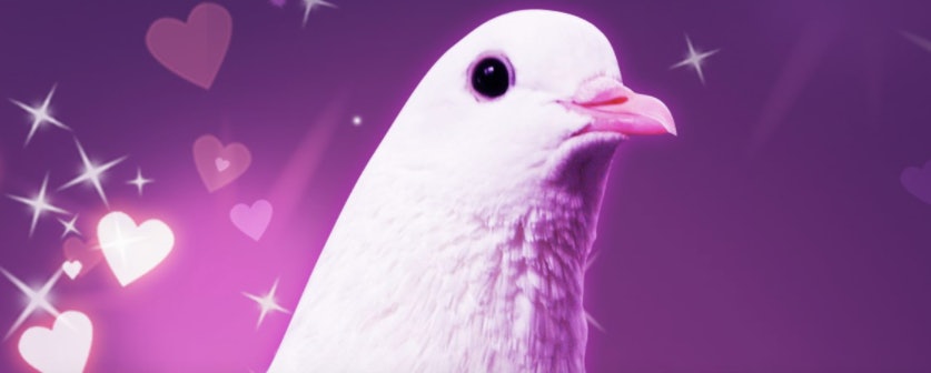 pigeon simulator xbox one release date