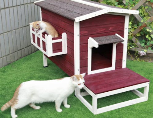 best outdoor cat houses