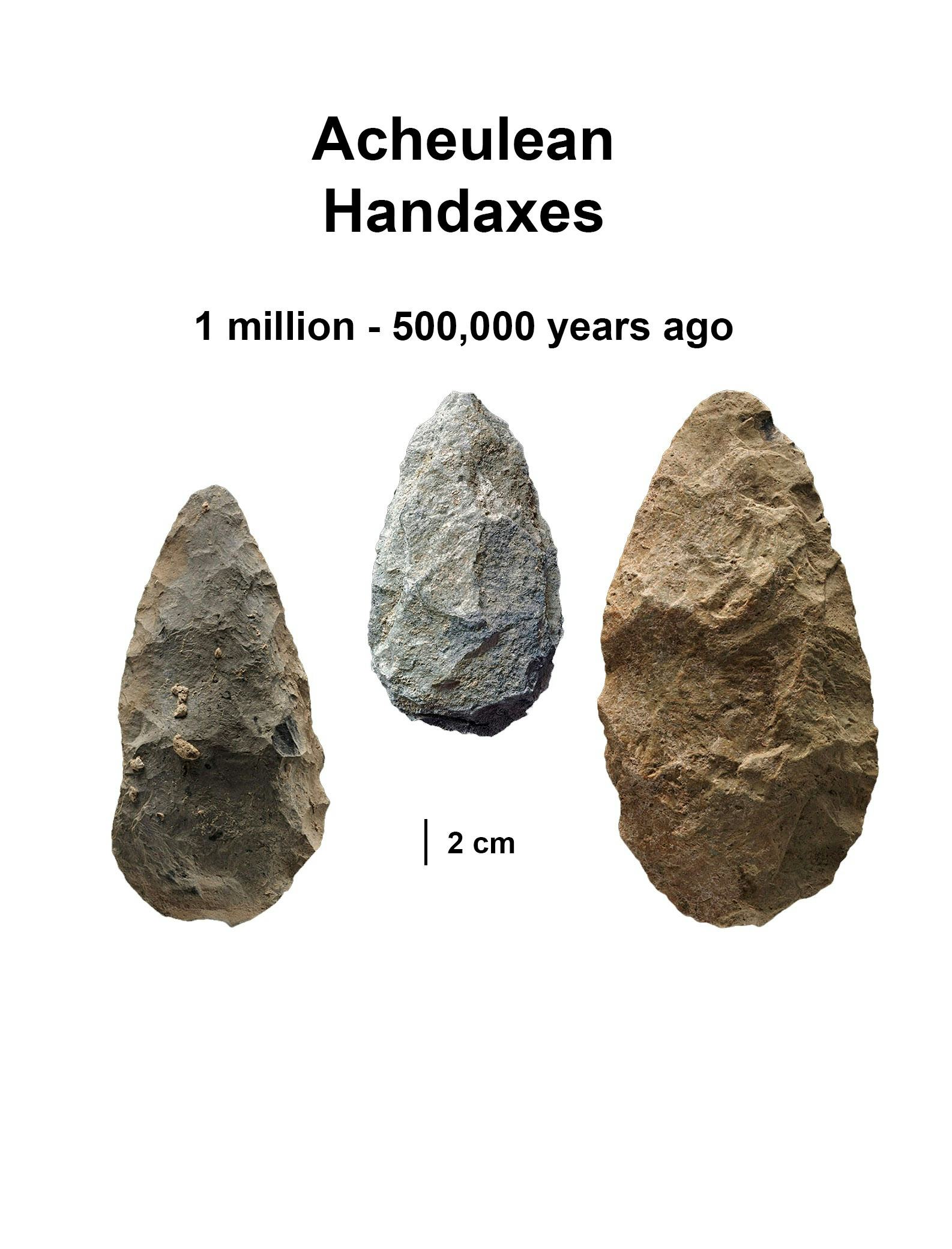 Ancient humans invented new tools during a climate crisis