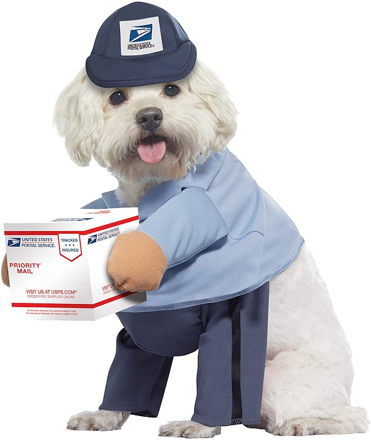 California Costumes Pet US Mail Carrier Pup Costume