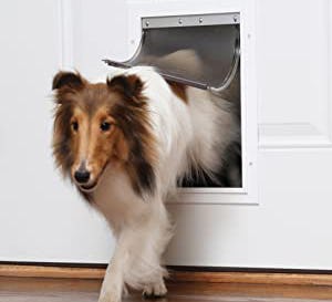 The 5 Best Insulated Dog Doors