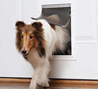 PetSafe Extreme Weather Dog and Cat Door, Large