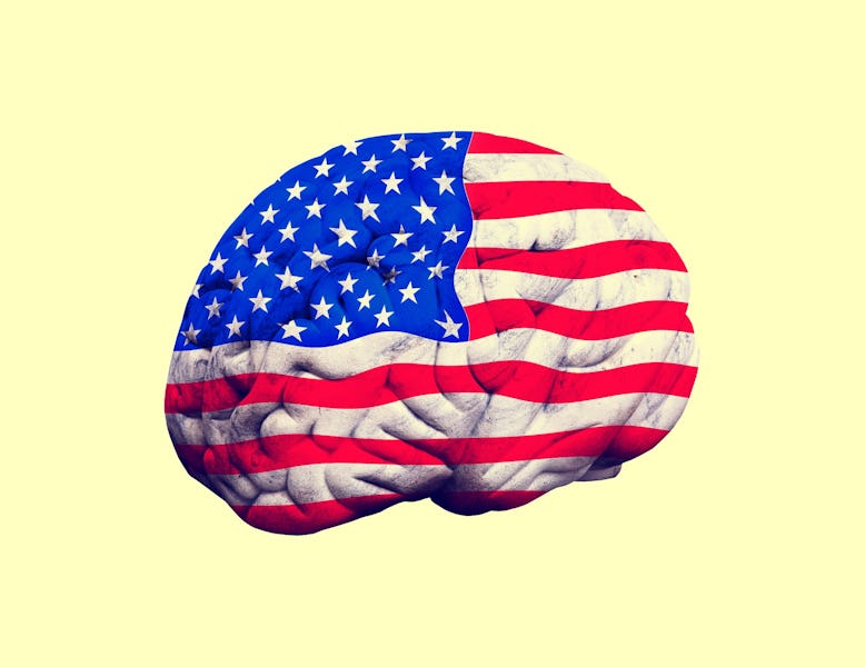 politics, United States, brain