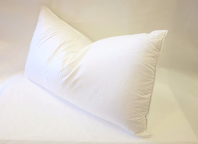 East Coast Bedding European Down Pillow 