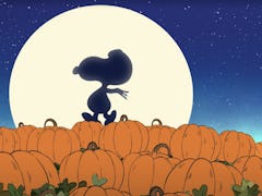 Snoopy walks along some pumpkins in 'It's the Great Pumpkin, Charlie Brown.'