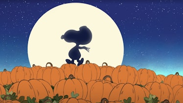 Snoopy walks along some pumpkins in 'It's the Great Pumpkin, Charlie Brown.'