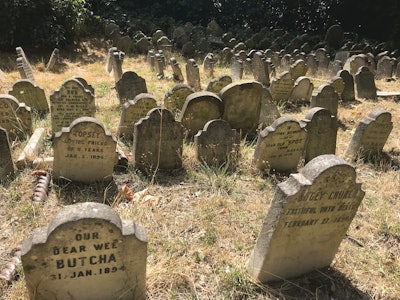 Britain's oldest pet cemetery