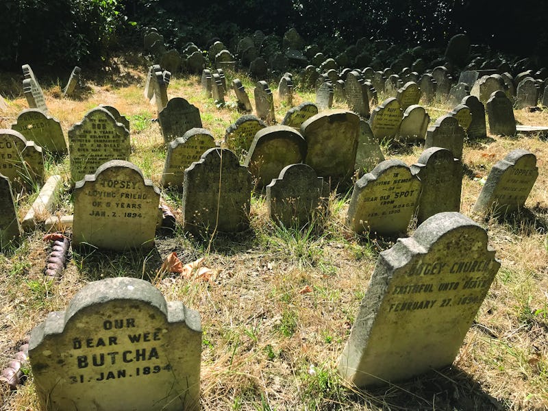 Britain's oldest pet cemetery