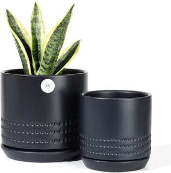 POTEY Ceramic Flower Pots (2-Pack)