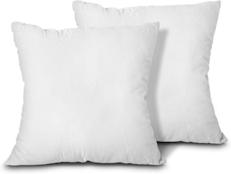 EDOW Throw Pillow Inserts (2-Pack)