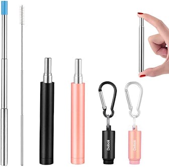Doboli Collapsible Reusable Metal Straws (2-Pack)