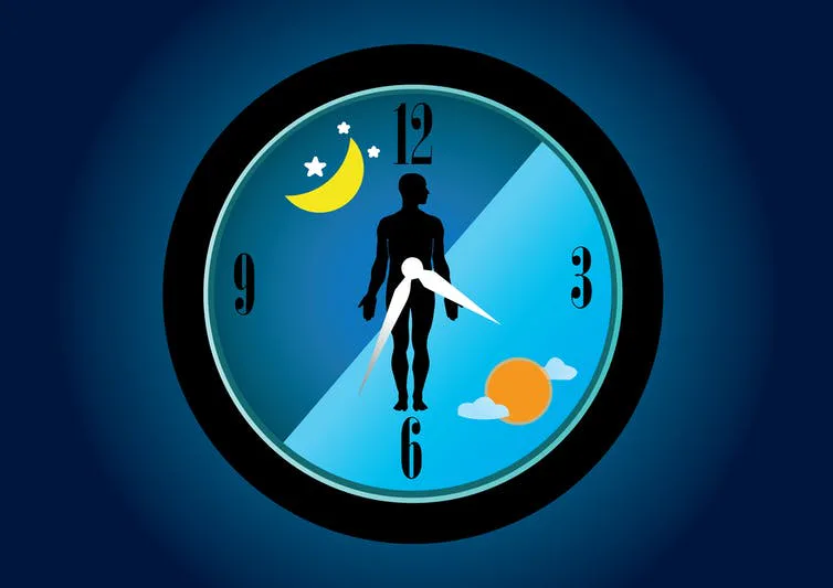 Daylight savings time contradicts our body's natural clock. Here's how ...