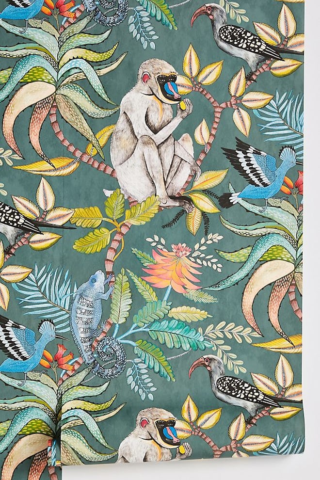 Canopy Creature Wallpaper