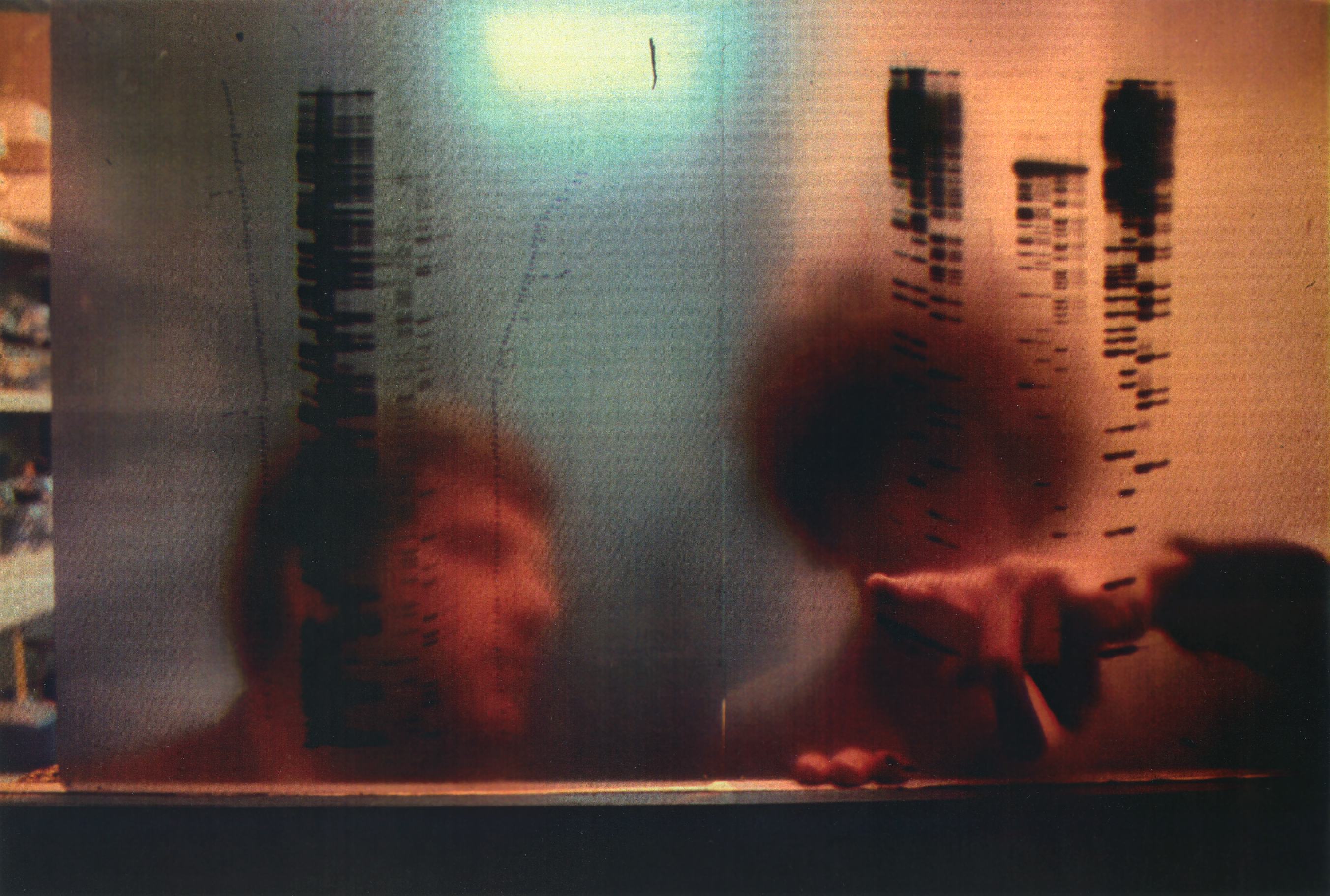 Human Genome Project researchers utilizing manual sequencing data.