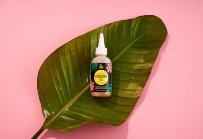 Dominican Forbidden Oil by Bomba Curls
