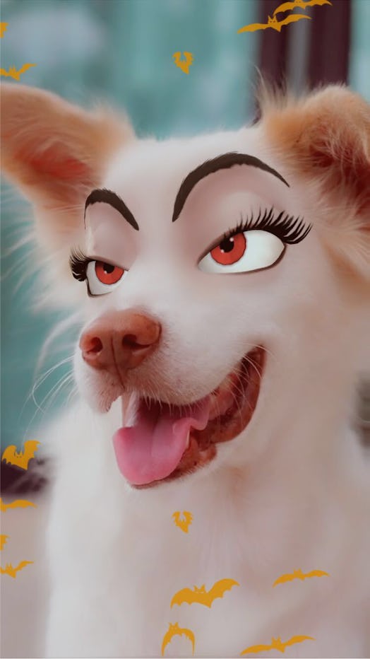 Snapchat's Halloween lenses include a hilarious take on the cartoon dog eyes.