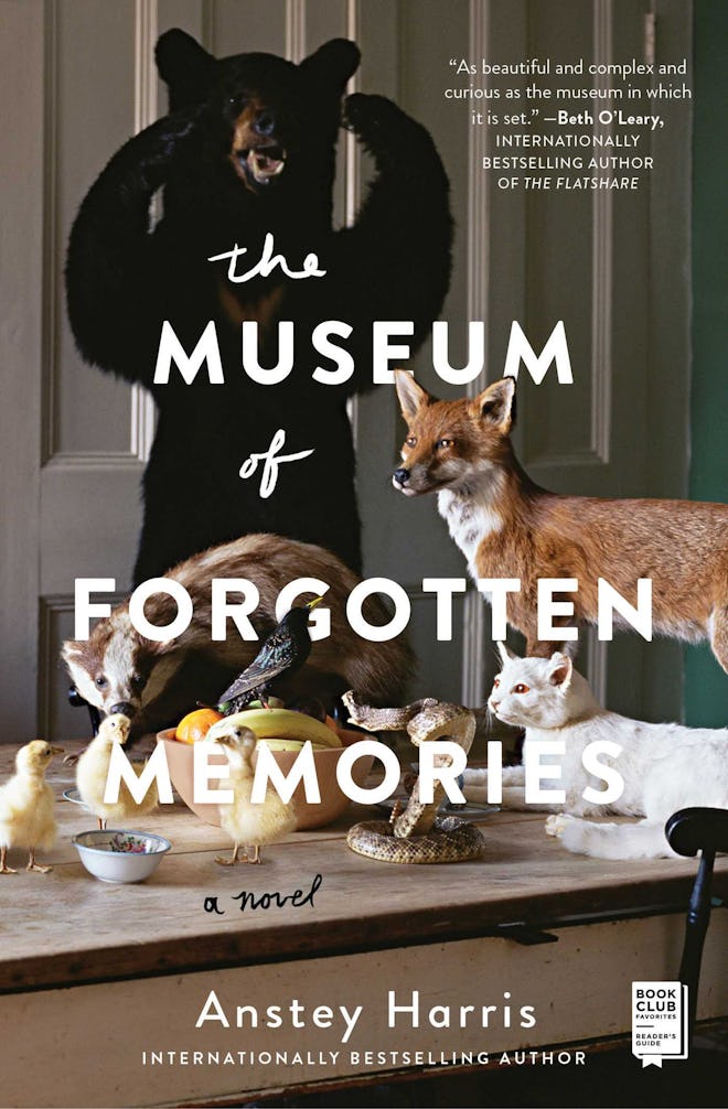 'The Museum of Forgotten Memories' by Anstey Harris
