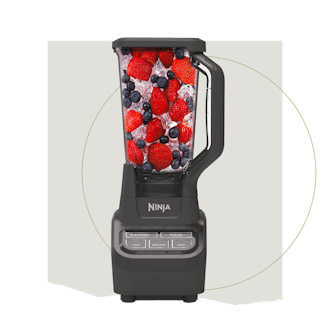 Ninja Professional 1000-Watt Blender