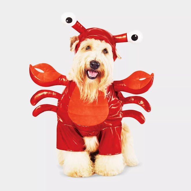 Lobster Frontal Dog and Cat Costume
