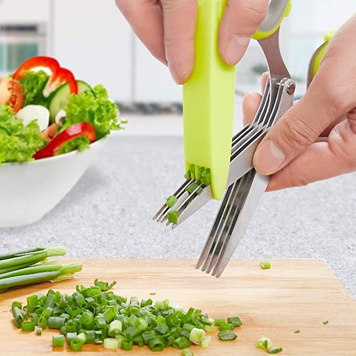 LHS Herb Scissors and Safe Cover 