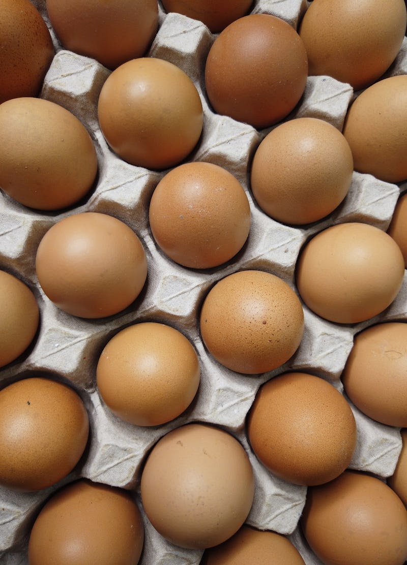 A closeup of a carton of eggs 