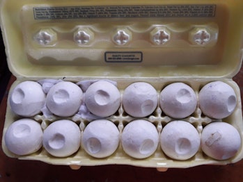 A dozen decoy eggs together in a carton.