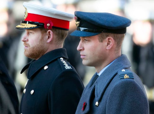 Prince Harry and William in profile both wearing military uniforms