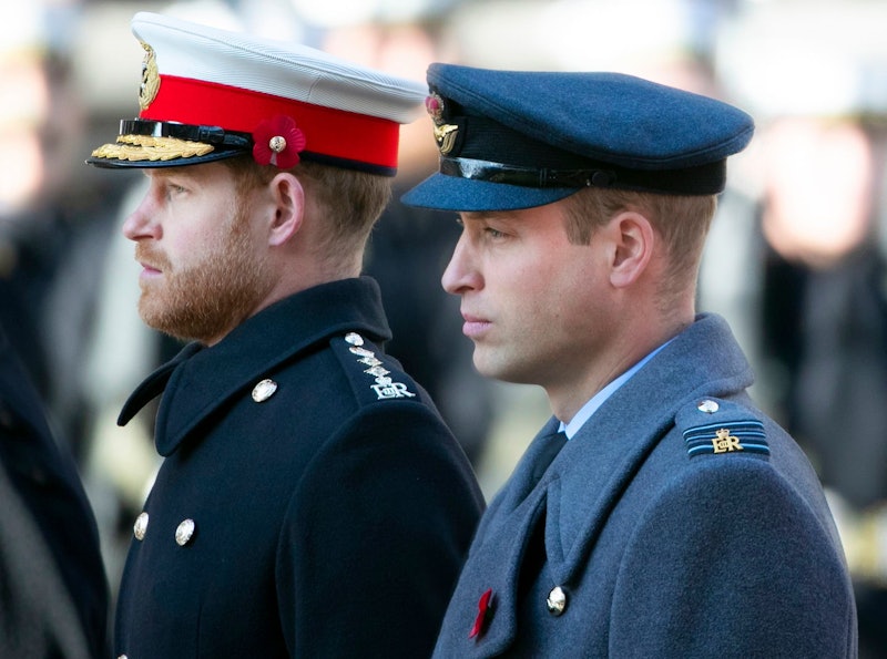 Prince Harry and William in profile both wearing military uniforms
