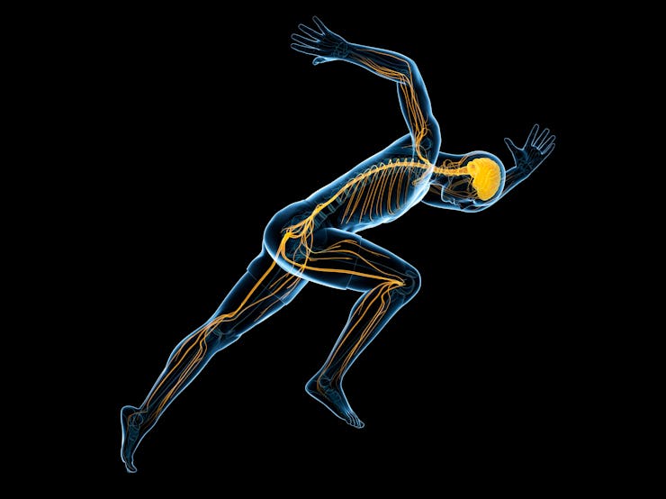 person running brain