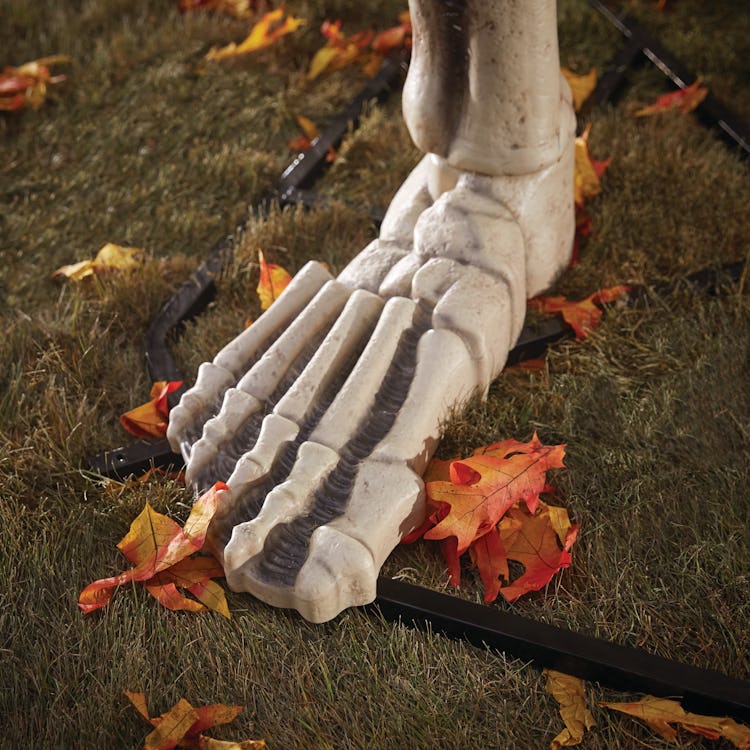 The skeleton's feet