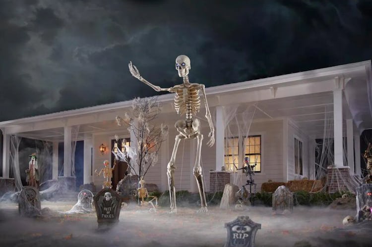 The skeleton on a lawn
