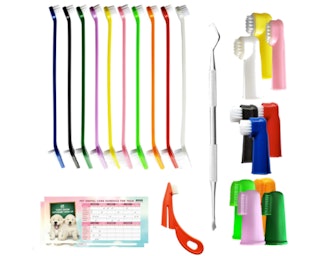 Bemix Pets Ultimate Toothbrush Kit (24-Pack)