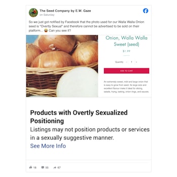 Screenshot of flagged ad containing a basket of Walla Walla onions