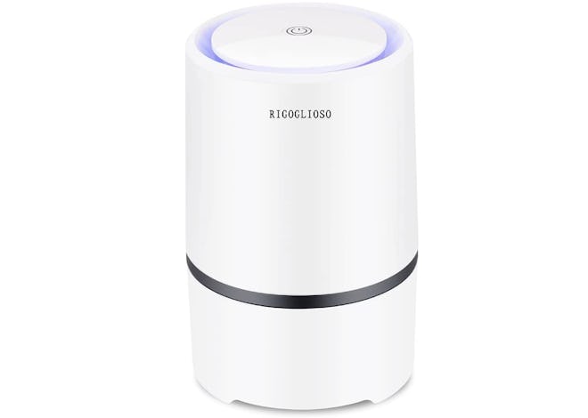 RIGOGLIOSO Air Purifier 