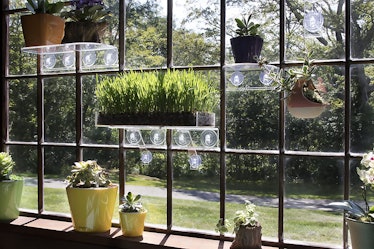Window Garden Acrylic Window Shelf