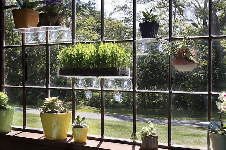 Window Garden Acrylic Window Shelf