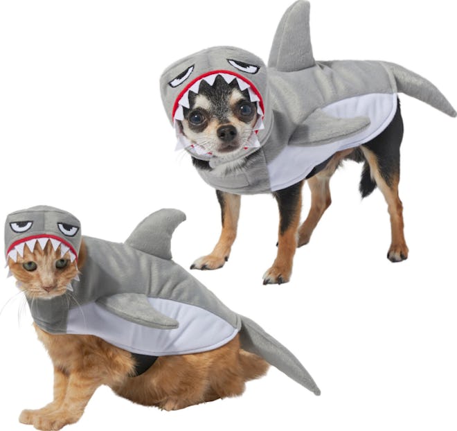 Sea creatures are a great idea for a baby and dog Halloween costume.