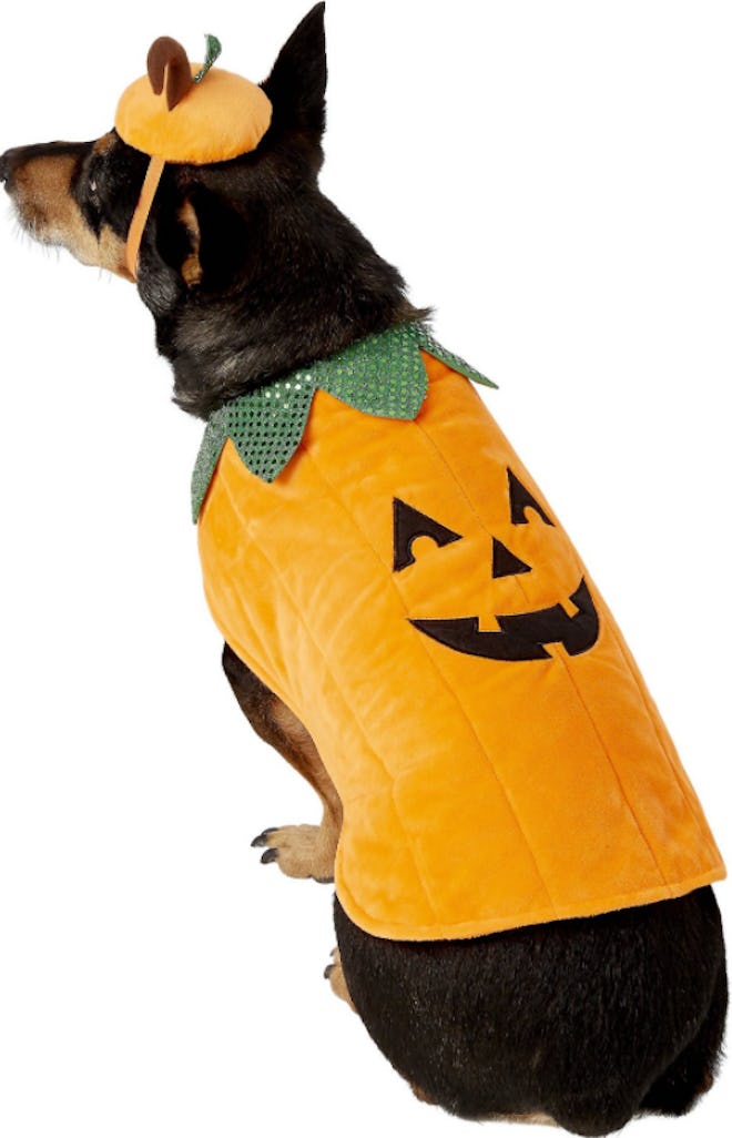 For a dog and baby Halloween costume, try Jack-O-Lantern jumpsuits.