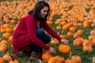 Young woman pumpkin picking