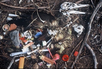 HOW BAD IS PLASTIC POLLUTION? SCIENTISTS REVEAL A STAGGERING GLOBAL ESTIMATE 1 HOW BAD IS PLASTIC POLLUTION? SCIENTISTS REVEAL A STAGGERING GLOBAL ESTIMATE 1