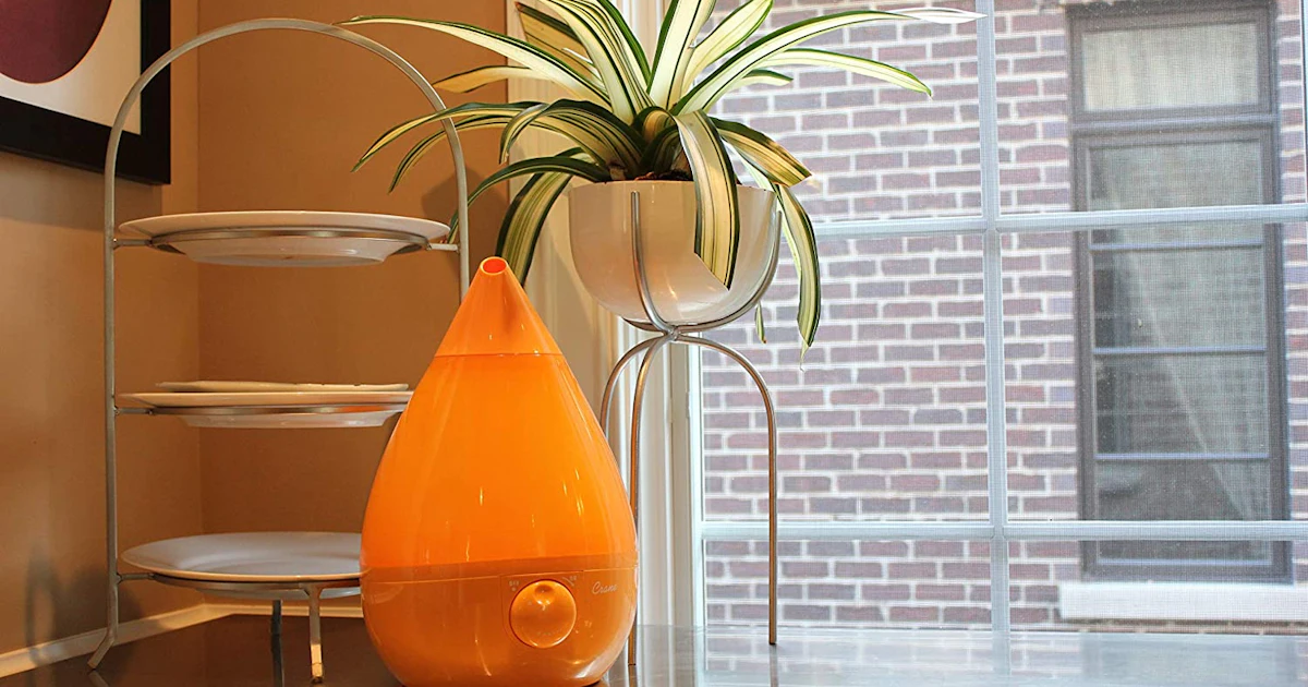 9 Stylish Humidifiers