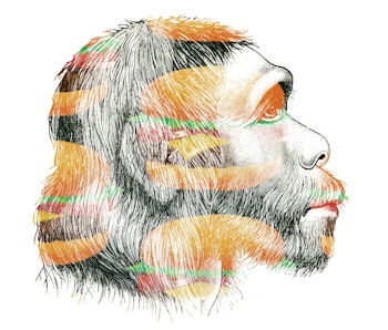 One Evolutionary Advantage Screws With Food Choices Today