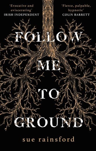 'Follow Me To Ground' by Sue Rainsford