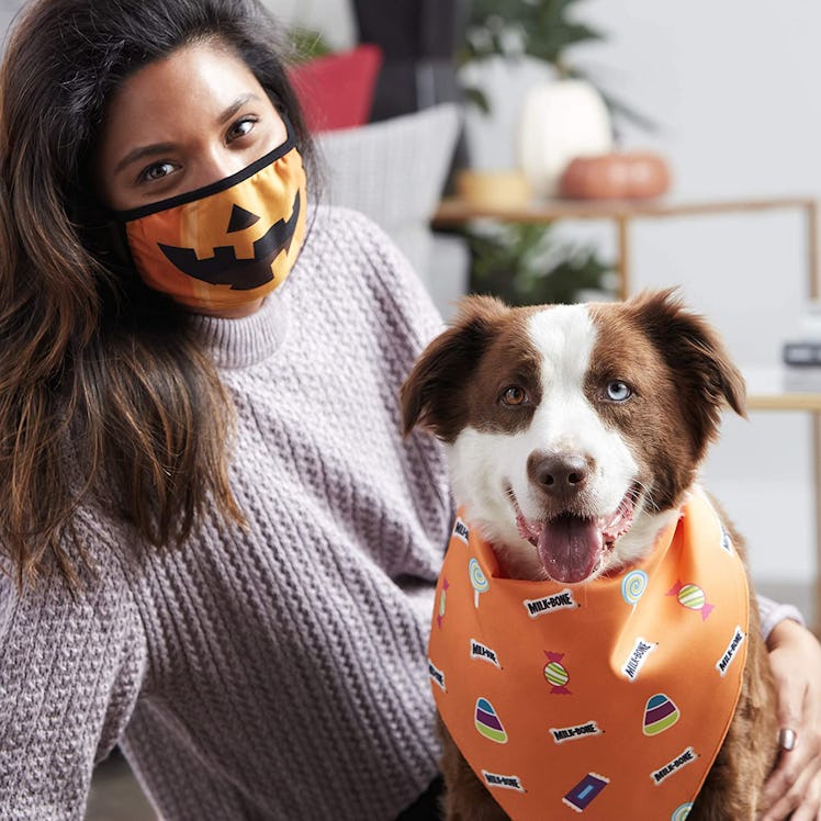 Milk-Bone Halloween Face Mask and Dog Bandana Set