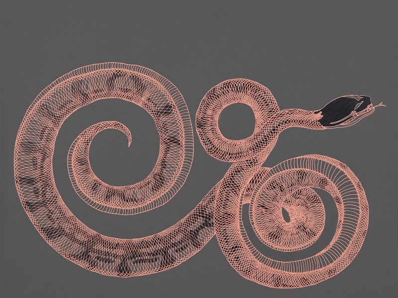Snake illustration.
