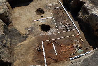 The remains of two female warriors unearthed as part of the Don Expedition.